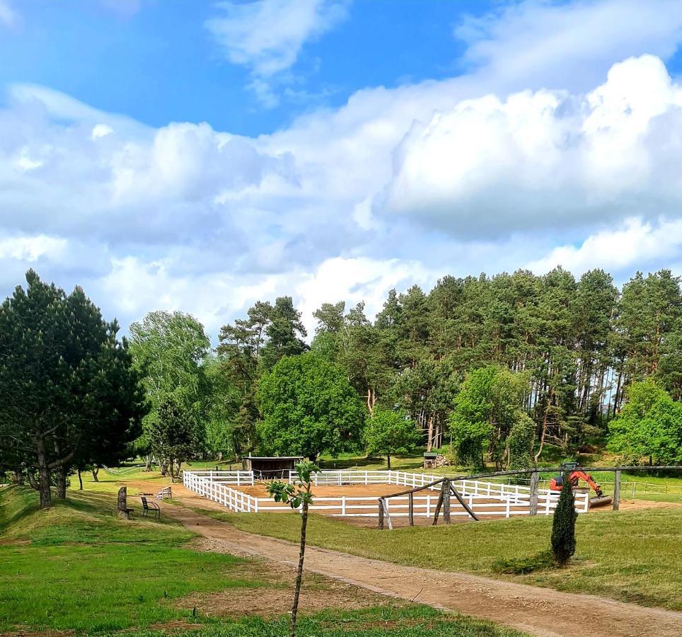 Kur-& Landhotel Borstel - Treff Dabel Esterno foto