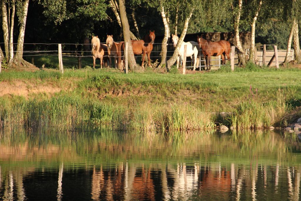 Kur-& Landhotel Borstel - Treff Dabel Esterno foto