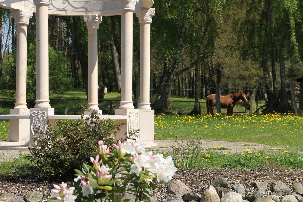 Kur-& Landhotel Borstel - Treff Dabel Esterno foto